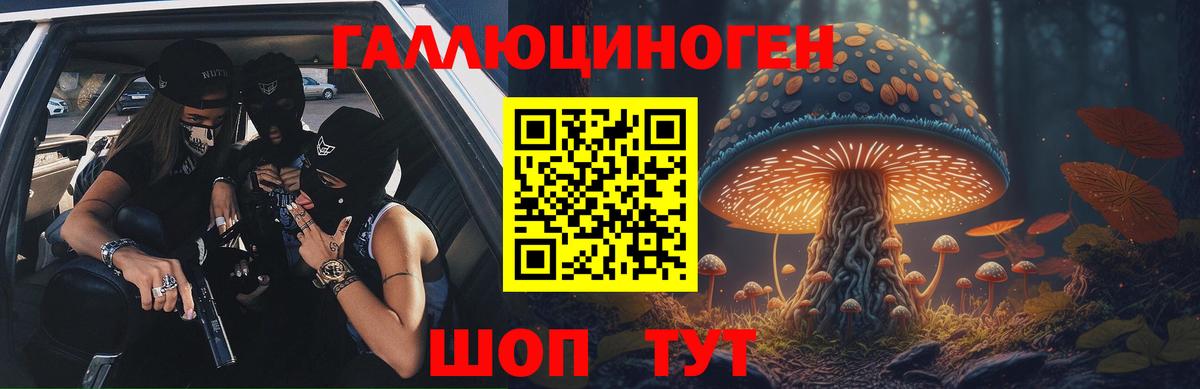 Сатка  Псилоцибиновые грибы Psilocybine cubensis  Вход с VPN 