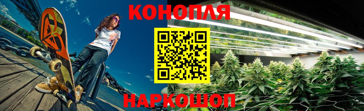 Бошки Шишки OG Kush Сатка